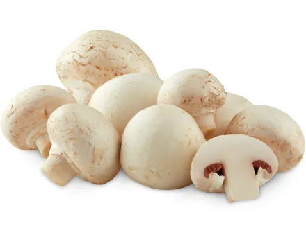 Migros Bio Champignons