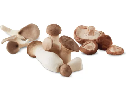 Migros Bio Edelpilze