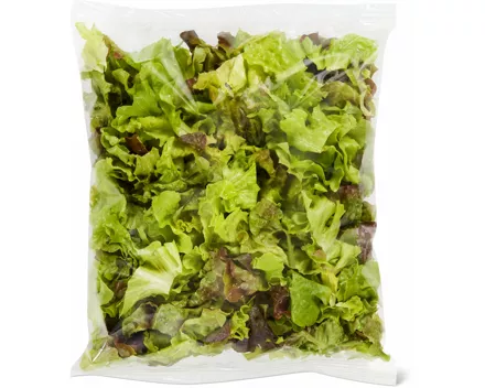 Migros Bio Eichblattsalat