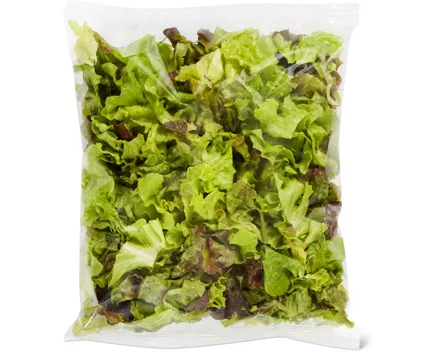 Migros Bio Eichblattsalat