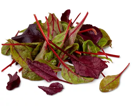 Migros Bio-Jungblattsalat rot und -Blumenmixsalat