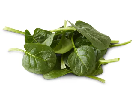 Migros Bio Spinat