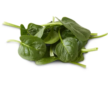 Migros Bio Spinat