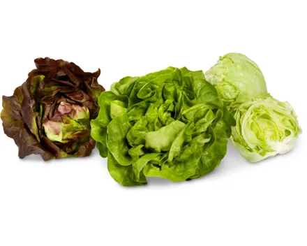 Migros Bio- und Demeter-Blattsalate ganz