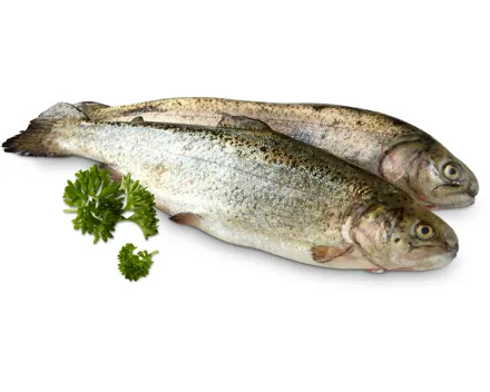 Migros Forellen ganz