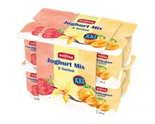 MILFINA Fruchtjoghurt XXL