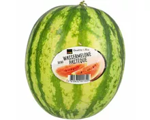 Mini Wassermelone 1 Stück