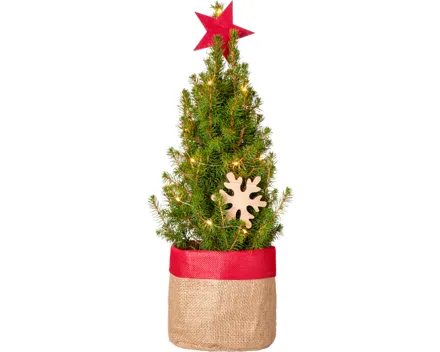Mini-Weihnachtsbaum