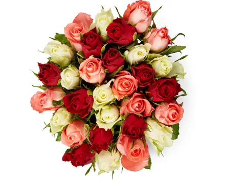 Minirosen, Fairtrade