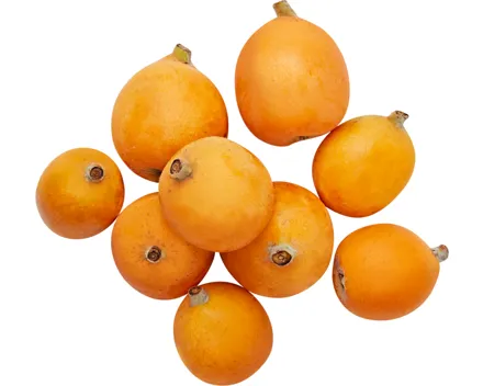 Mispeln