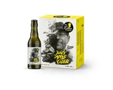Möhl Juicy Apple Cider 6x33cl