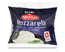 Mollini Bufala Mozzarella