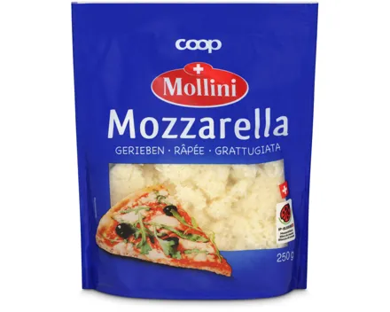 Mollini IP-Suisse Mozzarella gerieben
