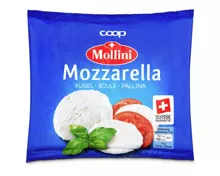 Mollini Mozzarella