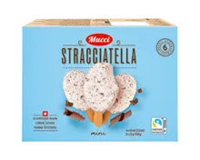 MUCCI Stracciatella Stielglace