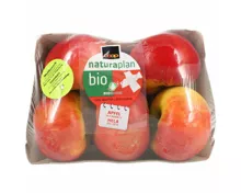 Naturaplan Bio Apfel des Monats Topaz