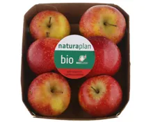 Naturaplan Bio Äpfel süss, säuerlich rote Sorte ca. 750g