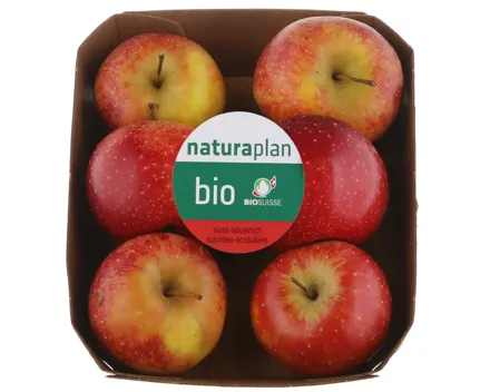 Naturaplan Bio Äpfel vv süss-säuerlich rote Sorte 750g