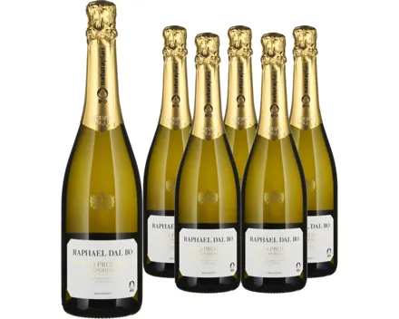 Naturaplan Bio-Asolo Prosecco Docg Extra Dry Millesimato Raphael Dal Bo 6x 75cl – Schaumwein, Italien (0.75l)