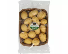 Naturaplan Bio Babykartoffeln