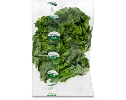 Naturaplan Bio Batavia-Salat 1 Stück