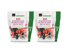 Naturaplan Bio Beerenmischung 2x300g