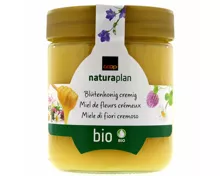 Naturaplan Bio Blütenhonig cremig