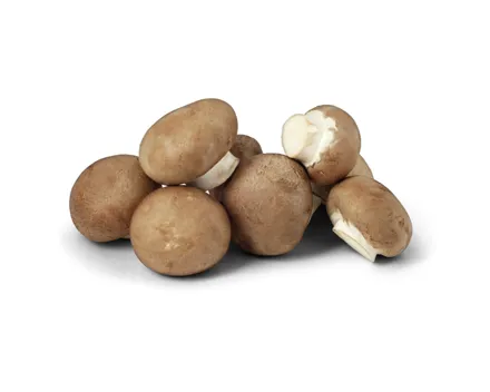 Naturaplan Bio Champignons braun
