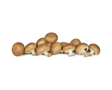 Naturaplan Bio Champignons braun