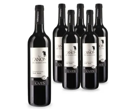 Naturaplan Bio-Côtes Catalanes IGP Le Canon du Marechal Cazes 6x 75cl (2023) – Rotwein, Frankreich (0.75l)