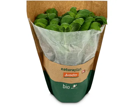Naturaplan Bio Demeter Basilikum im Topf