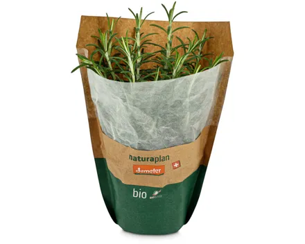 Naturaplan Bio Demeter Rosmarin im Topf