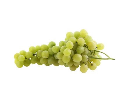 Naturaplan Bio Demeter Trauben Uva Italia