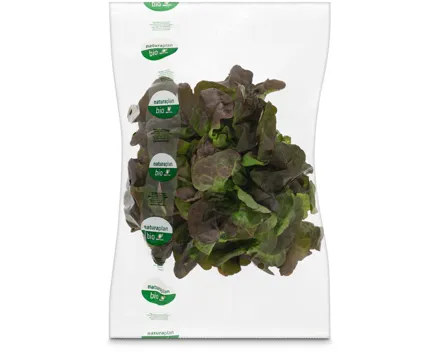 Naturaplan Bio Eichblatt Salat grün/rot 1 Stück