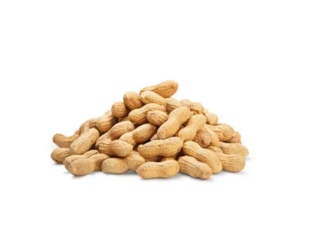 Naturaplan Bio Erdnüsse