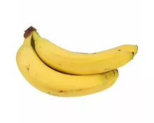 Naturaplan Bio Fairtrade Bananen ca. 1kg