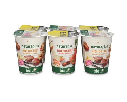 Naturaplan Bio Fairtrade Joghurt Vermicelles Vanille Apfel Zimt 6x180g
