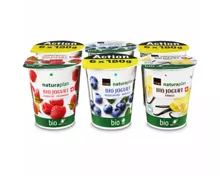 Naturaplan Bio Fairtrade Jogurt Heidlbeeren Himbeeren Vanille 6x180g