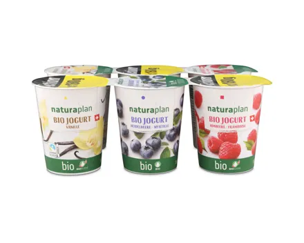 Naturaplan Bio Fairtrade Jogurt Heidlbeeren Himbeeren Vanille 6x180g