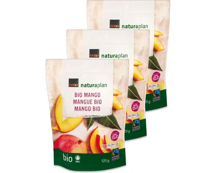 Naturaplan Bio Fairtrade Mango 3x120g