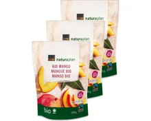 Naturaplan Bio Fairtrade Mango 3x120g