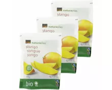 Naturaplan Bio Fairtrade Mango 3x120g