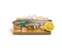 Naturaplan Bio Forelle ganz