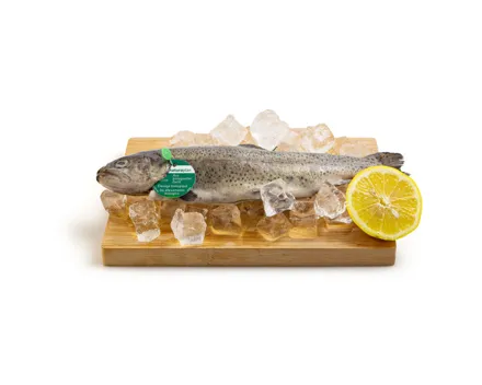 Naturaplan Bio Forelle ganz ca. 350g