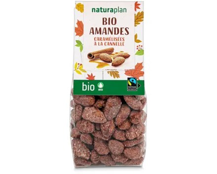 Naturaplan Bio gebrannte Mandeln