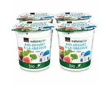 Naturaplan Bio Griechischer Jogurt Feigen 4x150g