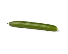 Naturaplan Bio Gurke 1 Stück