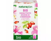 Naturaplan Bio Hagebuttentee 20 Beutel