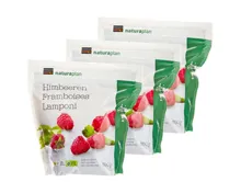 Naturaplan Bio Himbeeren 3x 300g