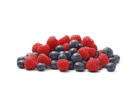 Naturaplan Bio Himbeeren/Heidelbeeren 2x200g